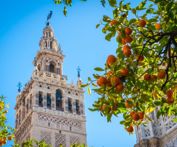 guia-turistica-sevilla-visita-guiada-giralda-y-catedral