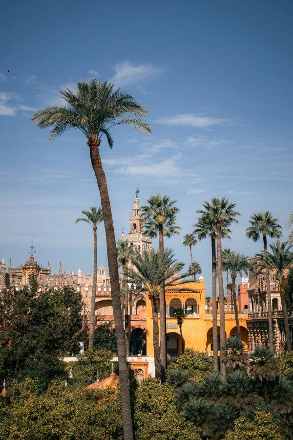 vista-de-la-giralda-desde-real-alcazar-de-sevilla