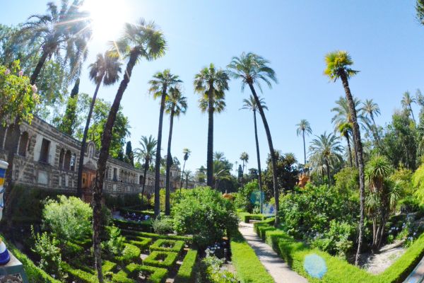 jardines del Real Alcázar de Sevilla